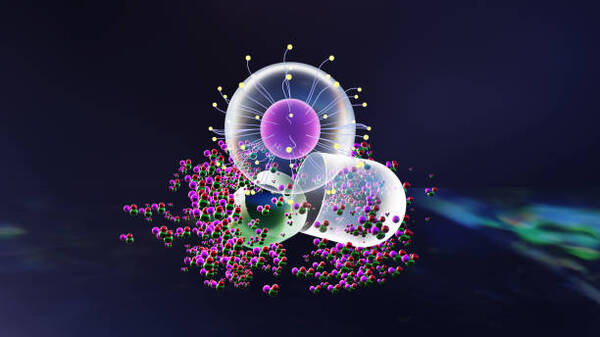 <b>可降解生物基包装膜</b>
